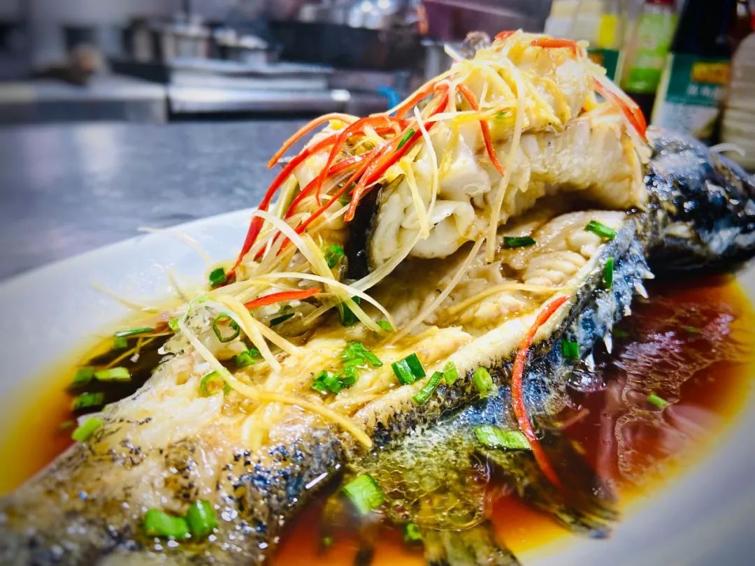 平潭海鲜名菜丨清蒸龙胆鱼:肉质饱满,味香色美