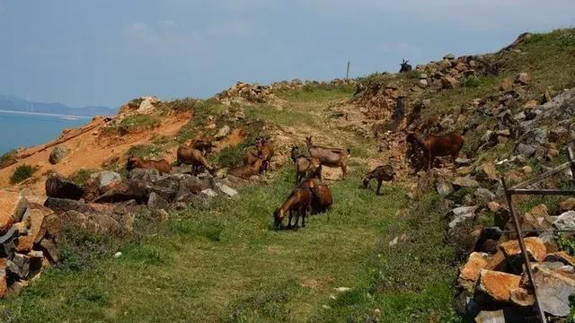 大海是治愈身心疲惫的速效药~奔向东庠岛