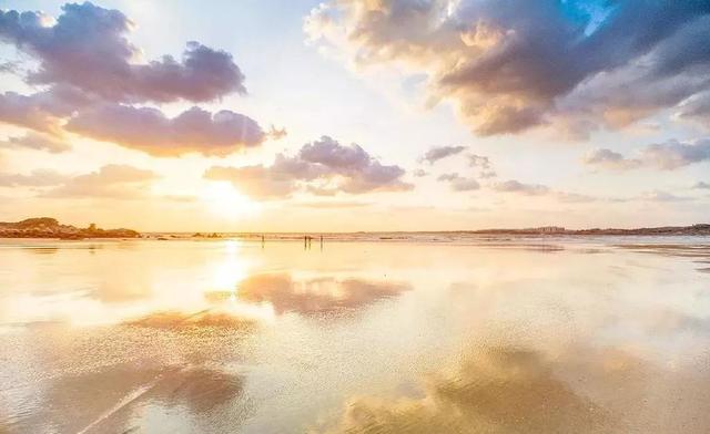 国内这座小众海岛，一到夏天就变成梦幻荧光海，美到尖叫