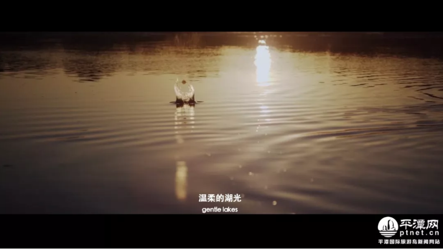 云海间遇见小幸运，平潭特色美食“时来运转”让你好运连连