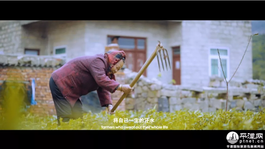 云海间遇见小幸运，平潭特色美食“时来运转”让你好运连连