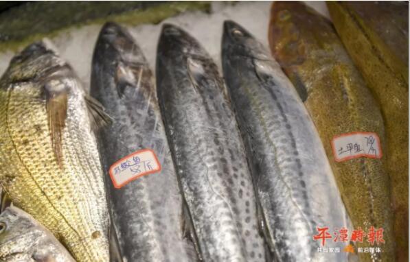 平潭海鲜名菜 | 马鲛鱼多种地道吃法，你尝试了吗?