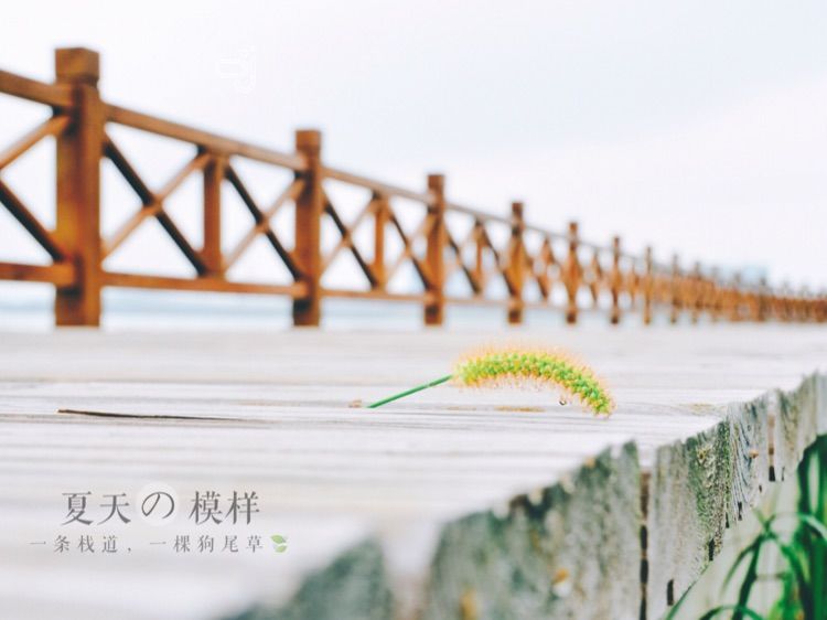 传说中的蓝眼泪 希腊风的大福湾