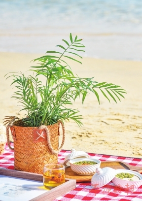 这个夏天，不负好天气！送你一份平潭野餐攻略