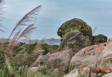 平潭南寨山：大自然雕琢的“仙境石林”