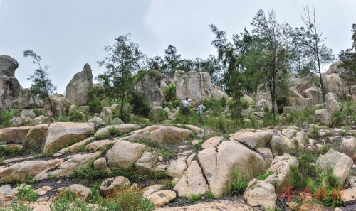 平潭南寨山：大自然雕琢的“仙境石林”