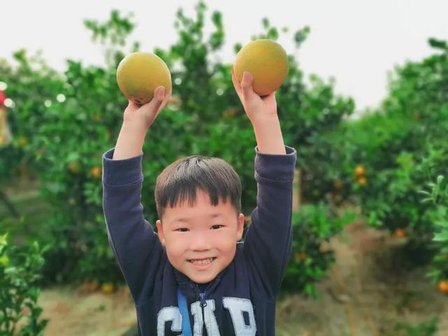 这个被众多明星青睐的海岛，看一眼惊艳一生，如今橙子熟了