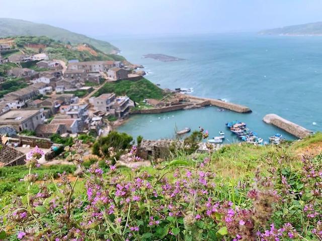 国内这座小众海岛，一到夏天就变成梦幻荧光海，美到尖叫