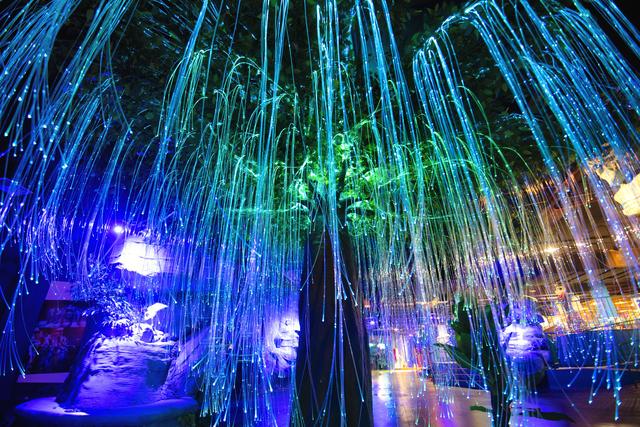 嬉海园~全室内海洋主题乐园