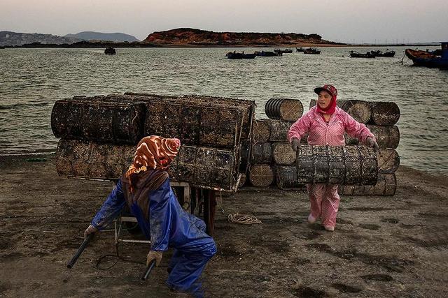 国内这座小众海岛，一到夏天就变成梦幻荧光海，美到尖叫