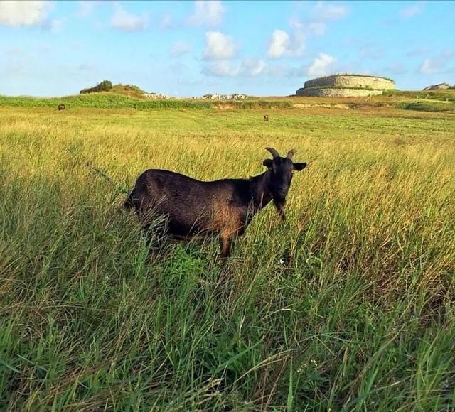 可以挑战无人岛！快来平潭的这些岛屿玩一玩“荒岛求生”