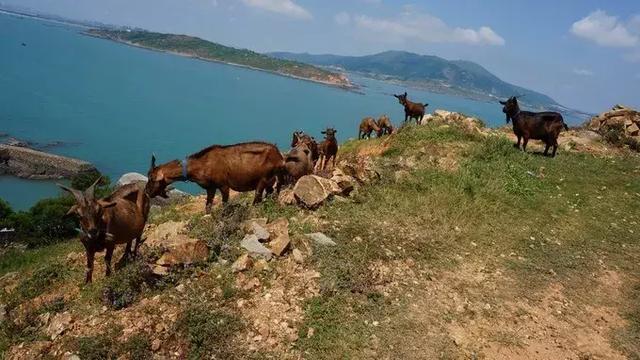 大海是治愈身心疲惫的速效药~奔向东庠岛