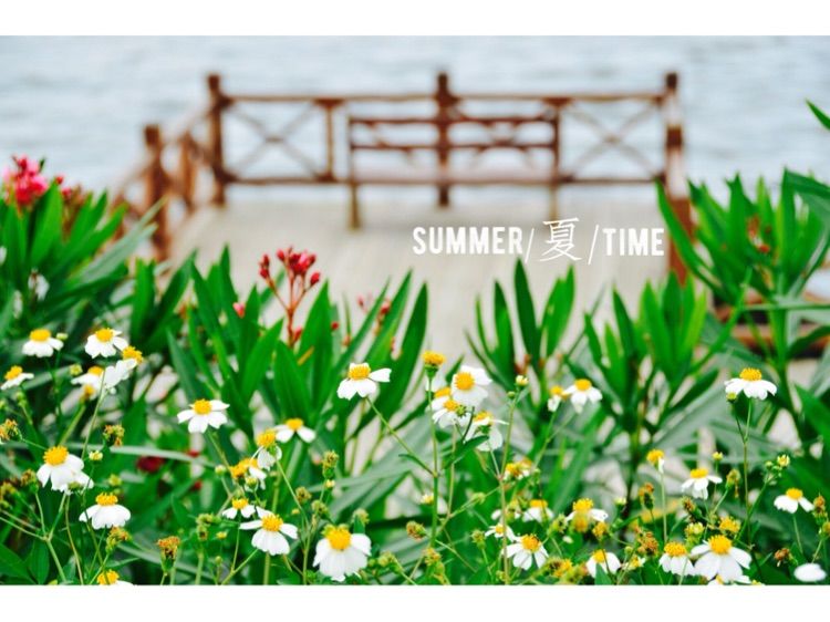 传说中的蓝眼泪 希腊风的大福湾