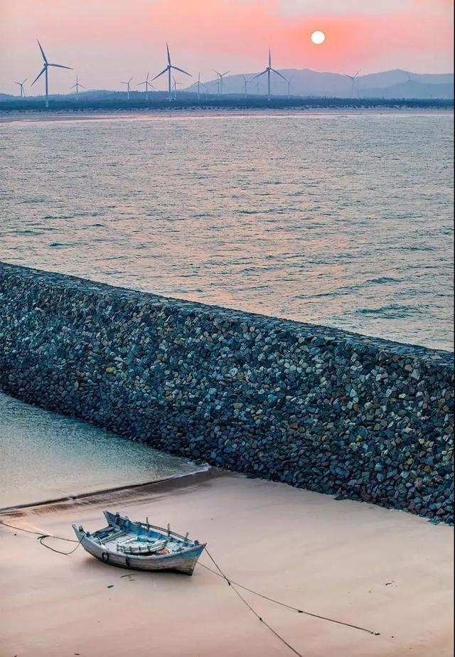 国内这座小众海岛，一到夏天就变成梦幻荧光海，美到尖叫