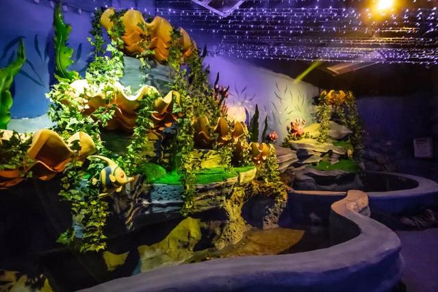 嬉海园~全室内海洋主题乐园