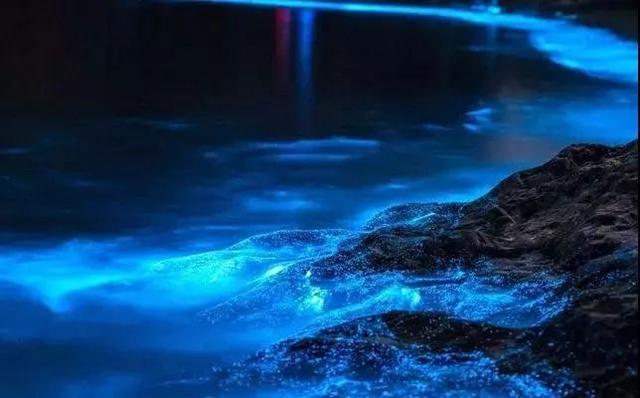 国内这座小众海岛，一到夏天就变成梦幻荧光海，美到尖叫