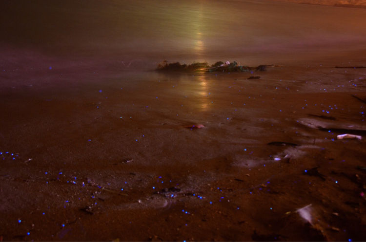 传说中的蓝眼泪 希腊风的大福湾