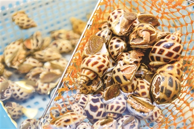 平潭味道丨“盘中明珠”滋味浓 一盘海螺话幸福