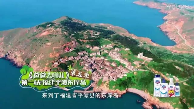 这个被众多明星青睐的海岛，看一眼惊艳一生，如今橙子熟了