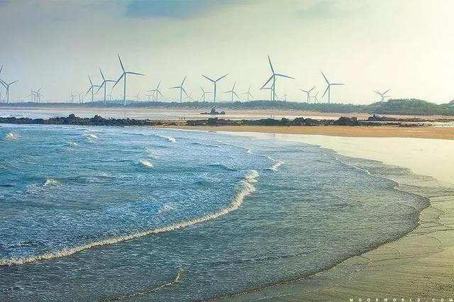 国内这座小众海岛，一到夏天就变成梦幻荧光海，美到尖叫