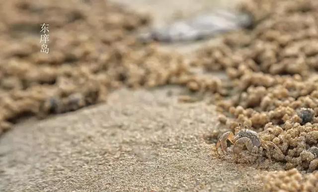 大海是治愈身心疲惫的速效药~奔向东庠岛