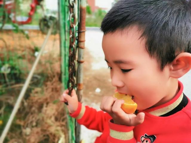 这个被众多明星青睐的海岛，看一眼惊艳一生，如今橙子熟了