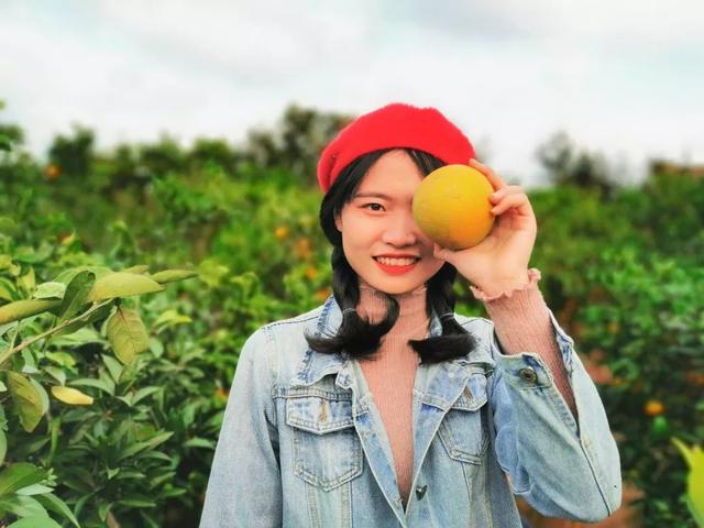 这个被众多明星青睐的海岛，看一眼惊艳一生，如今橙子熟了