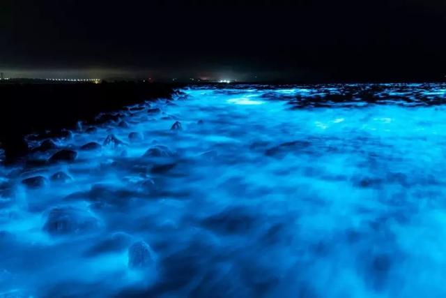 国内这座小众海岛，一到夏天就变成梦幻荧光海，美到尖叫