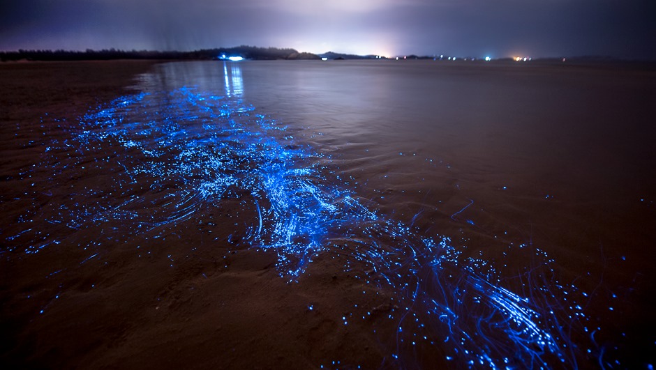 平潭坛南湾蓝眼泪