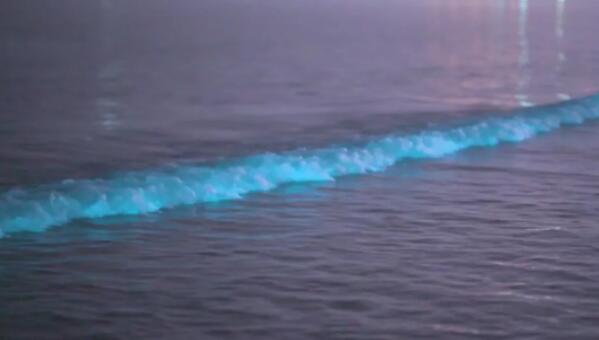 平潭“蓝眼泪”现场视频