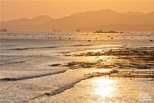 欢迎来白金海岸找夏天 彩虹城堡里有我的珍藏