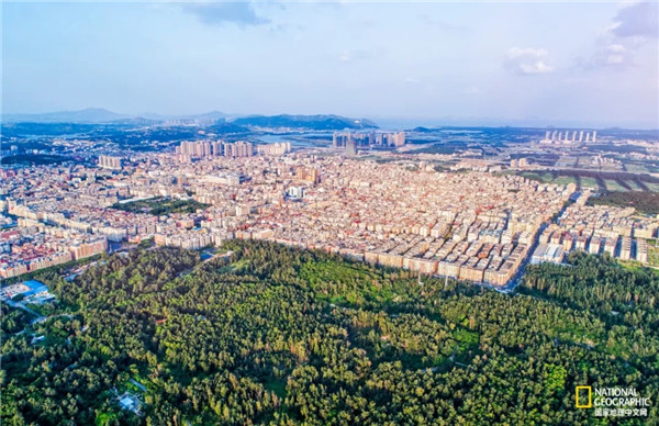 欢迎来白金海岸找夏天 彩虹城堡里有我的珍藏