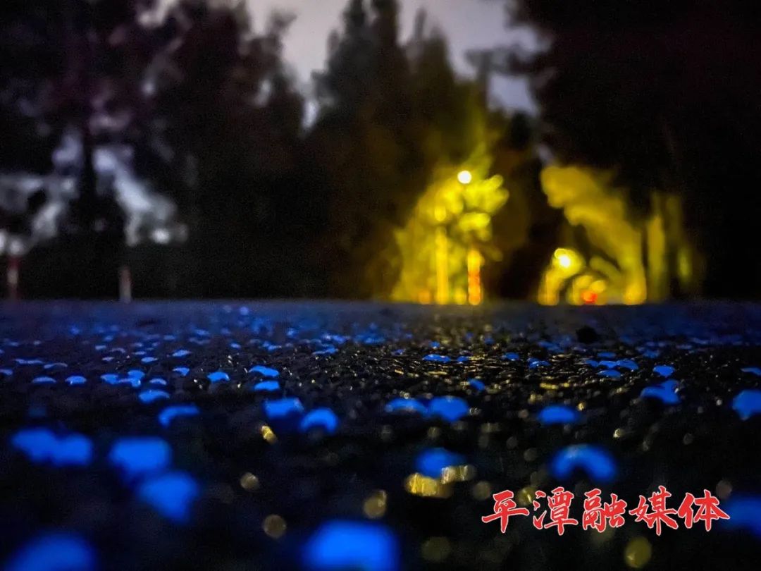 平潭首条荧光道来啦！夜晚可脚踏“星辰”、追“蓝眼泪”